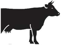 Caseario